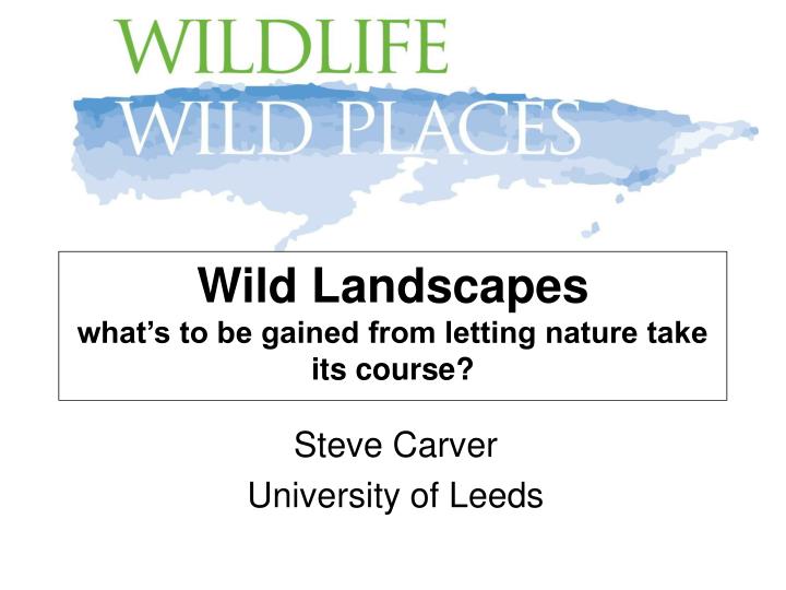 wild landscapes what s to be gained from letting nature take its course