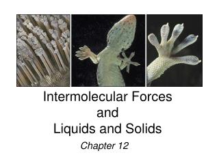 Intermolecular Forces and Liquids and Solids