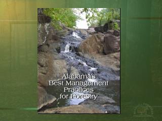 Alabama Best Management Practices for Forestry