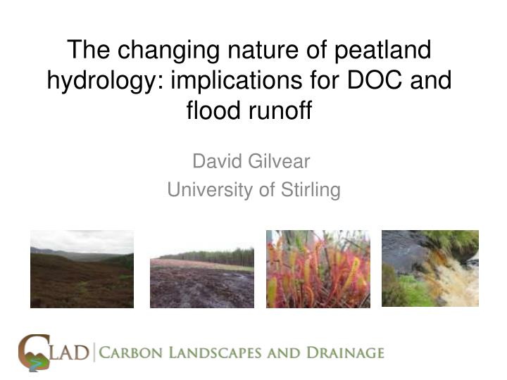 the changing nature of peatland hydrology implications for doc and flood runoff