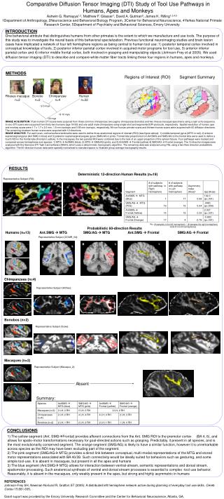 Comparative Diffusion Tensor Imaging (DTI) Study of Tool Use Pathways in Humans, Apes and Monkeys