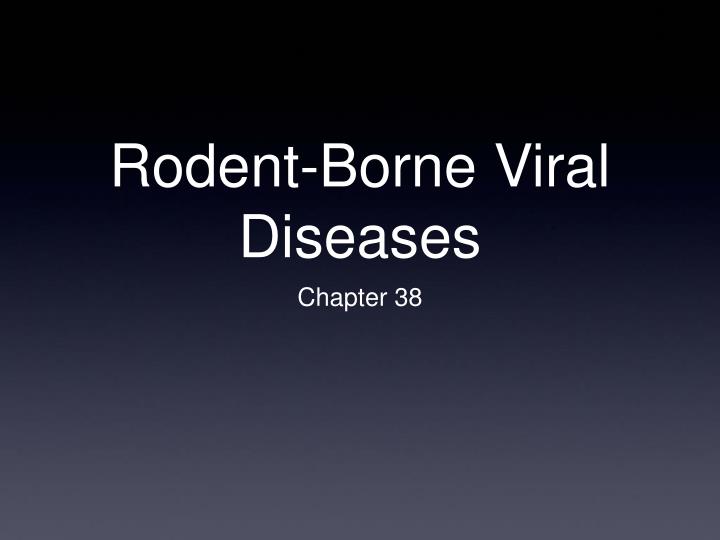 rodent borne viral diseases