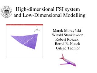 High-dimensional FSI system and Low-Dimensional Modelling