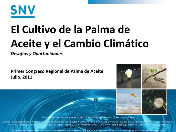 el cultivo de la palma de aceite y el cambio clim tico