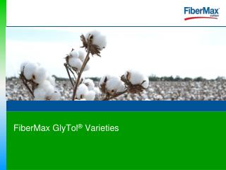 FiberMax-Glytol Varieties