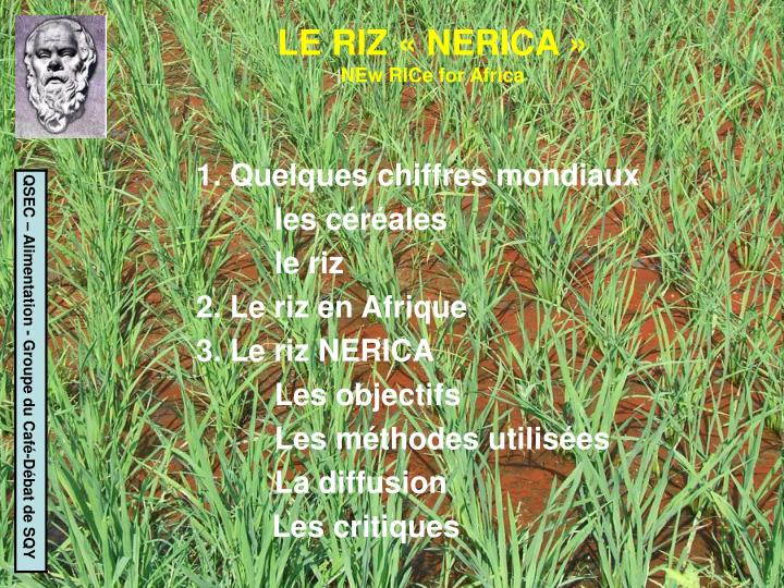 le riz nerica new rice for africa