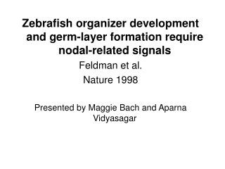 Zebrafish organizer development and germ-layer formation require nodal-related signals