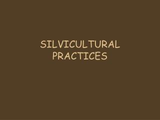 SILVICULTURAL PRACTICES