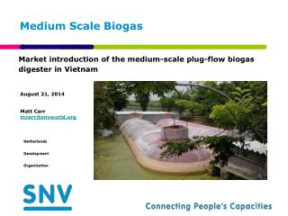 Medium Scale Biogas