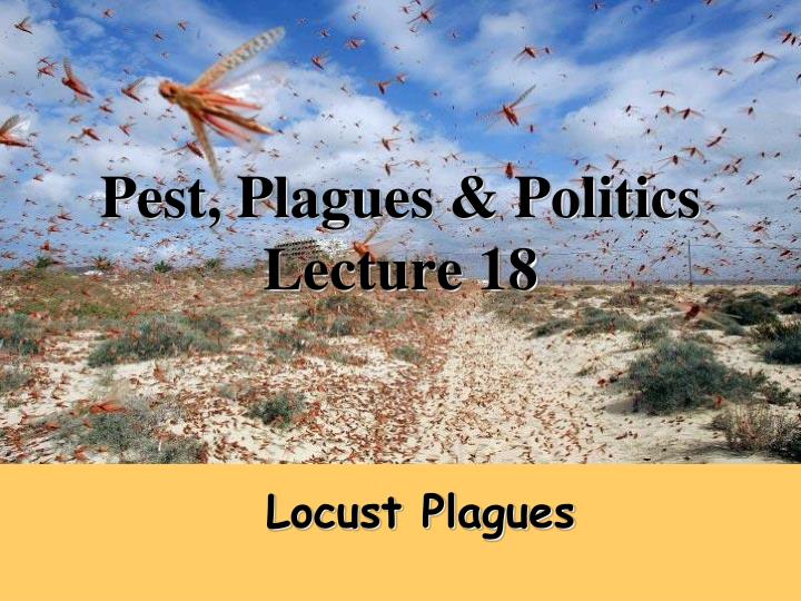 pest plagues politics lecture 18