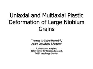 Uniaxial and Multiaxial Plastic Deformation of Large Niobium Grains