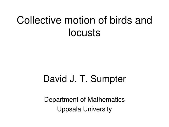 collective motion of birds and locusts