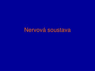 nervov soustava