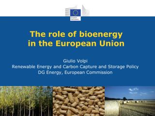 The role of bioenergy in the European Union