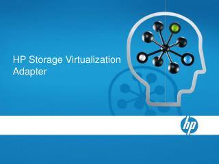 HP Storage Virtualization Adapter