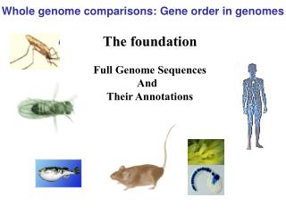 The foundation Full Genome Sequences And Their Annotations