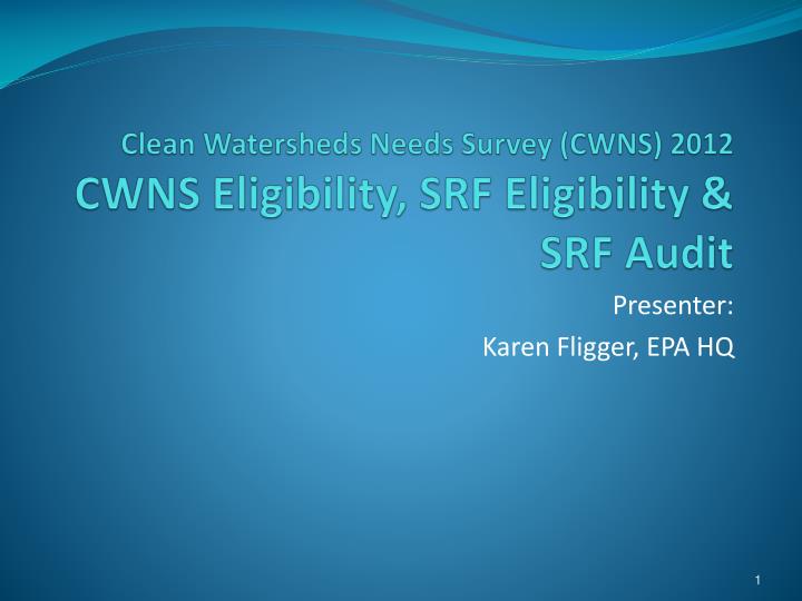 clean watersheds needs survey cwns 2012 cwns eligibility srf eligibility srf audit