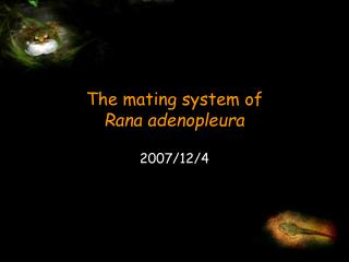 The mating system of Rana adenopleura