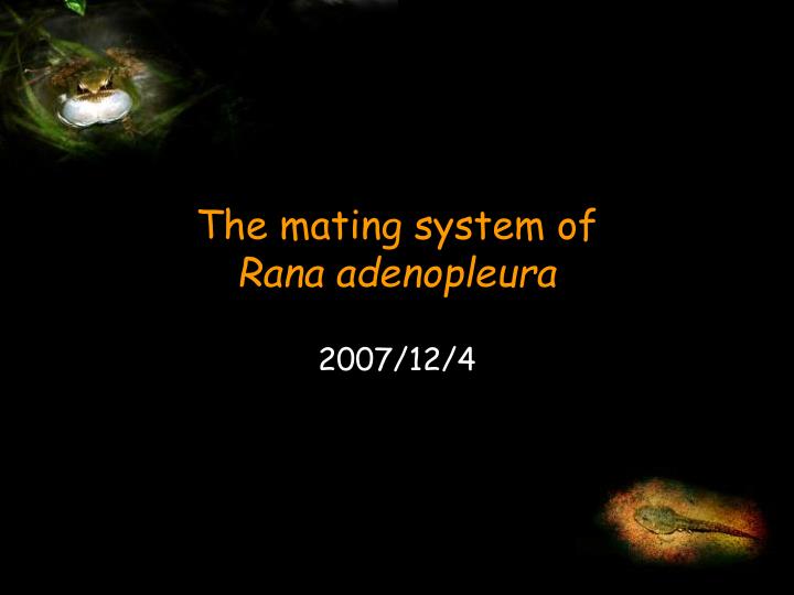 the mating system of rana adenopleura