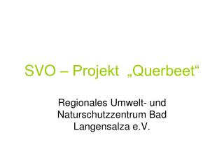 svo projekt querbeet