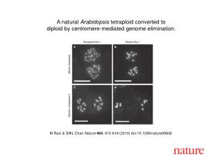 M Ravi &amp; SWL Chan Nature 464 , 615-618 (2010) doi:10.1038/nature08842