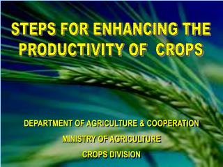DEPARTMENT OF AGRICULTURE &amp; COOPERATION MINISTRY OF AGRICULTURE CROPS DIVISION