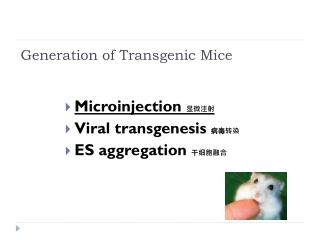 Generation of Transgenic Mice