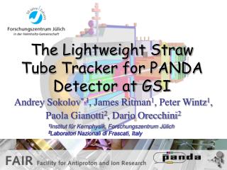 The Lightweight Straw Tube Tracker for PANDA Detector at GSI