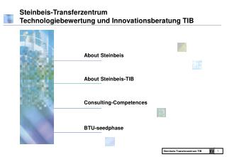 Steinbeis-Transferzentrum Technologiebewertung und Innovationsberatung TIB