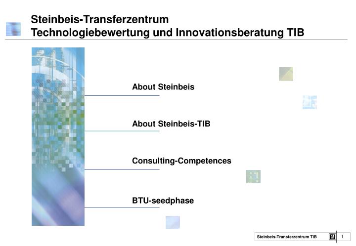 steinbeis transferzentrum technologiebewertung und innovationsberatung tib