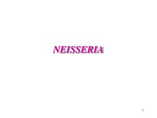 NEISSERIA