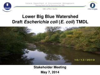 Lower Big Blue Watershed Draft Escherichia coli ( E. coli ) TMDL