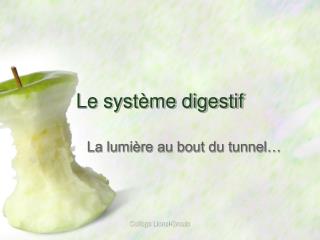 le syst me digestif