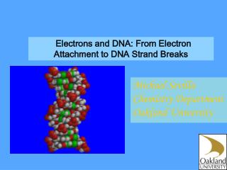 Electrons and DNA: From Electron Attachment to DNA Strand Breaks