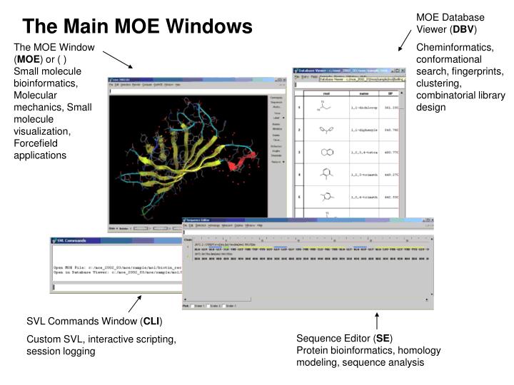 the main moe windows