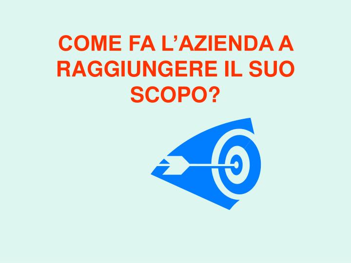 come fa l azienda a raggiungere il suo scopo