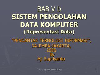 bab v b sistem pengolahan data komputer representasi data