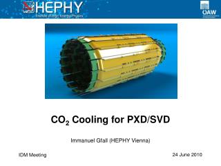 CO 2 Cooling for PXD/SVD