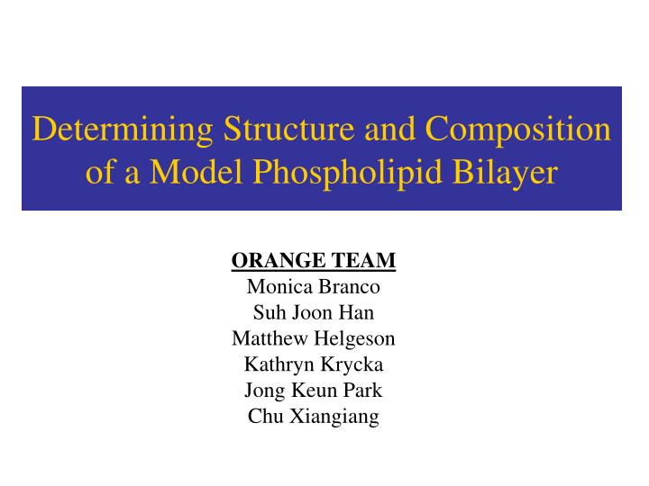 determining structure and composition of a model phospholipid bilayer