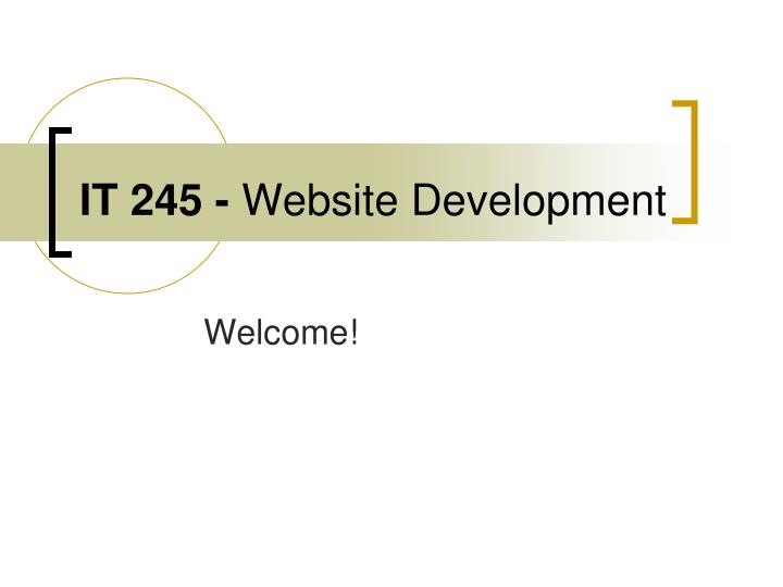 it 245 website development