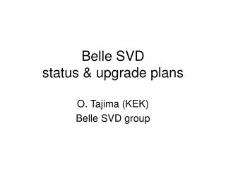 Belle SVD status &amp; upgrade plans