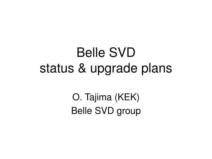 belle svd status upgrade plans