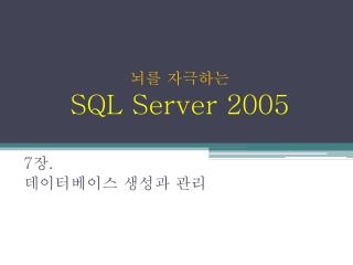 sql server 2005