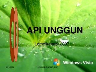 api unggun