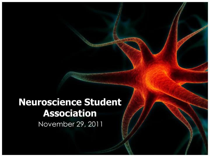 neuroscience student association