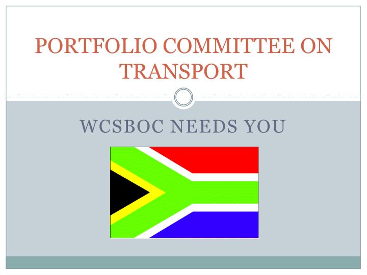portfolio committee on transport