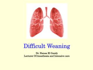 Difficult Weaning Dr. Hanaa El Gendy Lecturer Of Anesthesia and Intensive care