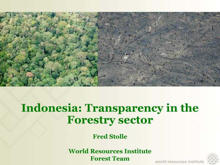 indonesia transparency in the forestry sector fred stolle world resources institute forest team