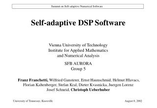 Self-adaptive DSP Software