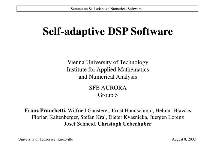 self adaptive dsp software